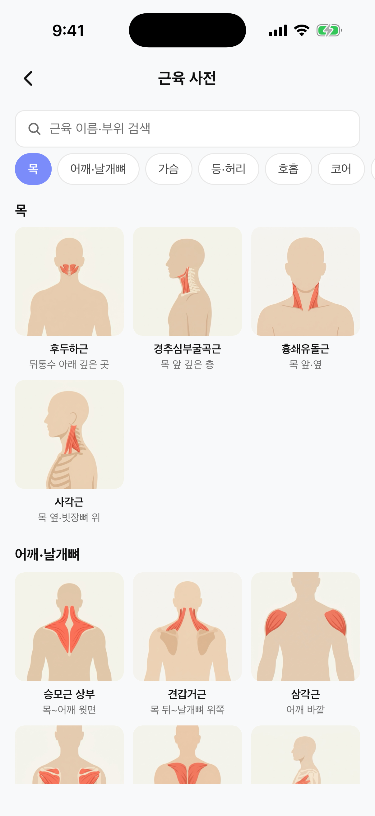 워니노트 근육 사전